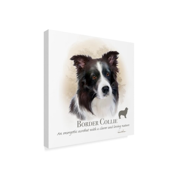 Howard Robinson 'Border Collie' Canvas Art,24x24